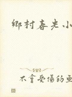 乡村春光小说封面