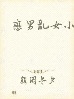 恋男乱女小说封面