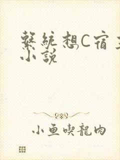 系统想C宿主的小说