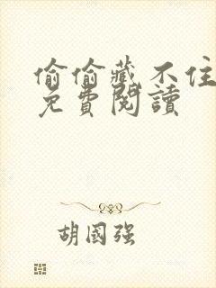 偷偷藏不住小说免费阅读封面