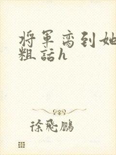 将军脔到她哭h粗话h封面