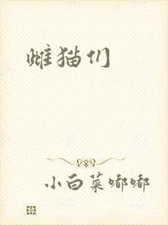 雌猫们