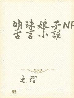 明珠娘子NPC古言小说