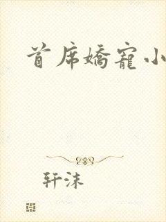 首席娇宠小情人