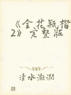 《金花瓶楷梅花2》完整版