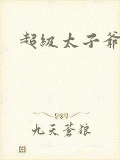 超级太子爷封面