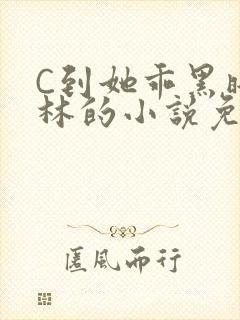 C到她乖黑暗森林的小说免费