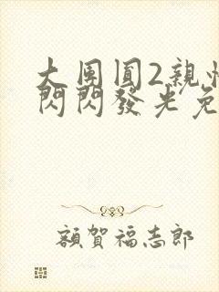 大团圆2亲情会闪闪发光免费