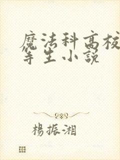 魔法科高校的劣等生小说