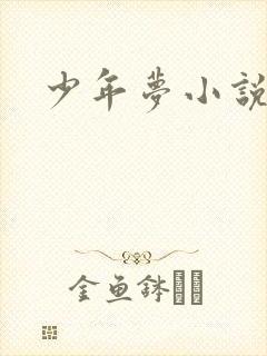 少年梦小说