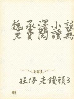 魏承泽小说全文免费阅读无弹窗笔趣