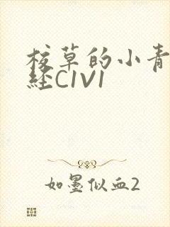 校草的小青梅不经C1V1