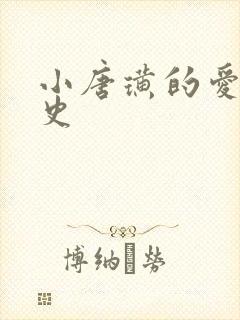 小唐璜的爱情历史封面