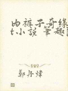 内裤子奇缘txt小说 笔趣阁