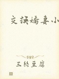 交换娇妻小说