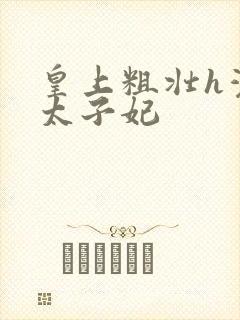 皇上粗壮h灌满太子妃