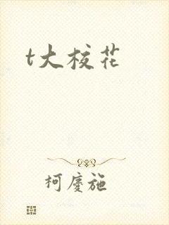 t大校花