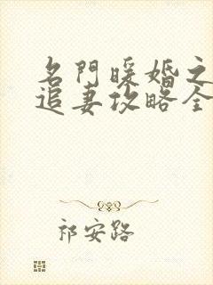 名门暖婚之权爷追妻攻略全文免费阅读封面