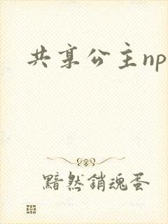 共享公主npc封面