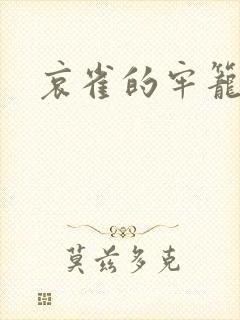 哀雀的牢笼封面