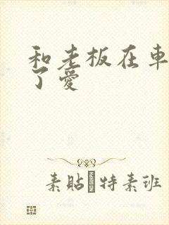 和老板在车里做了爱