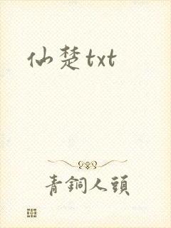仙楚txt封面