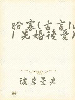 盼寡(古言1v1 先婚后爱)