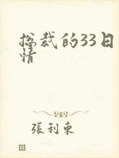 总裁的33日索情