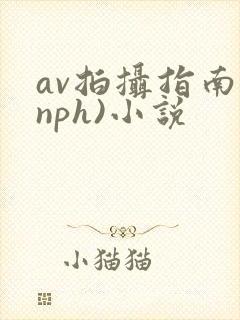 av拍摄指南(nph)小说