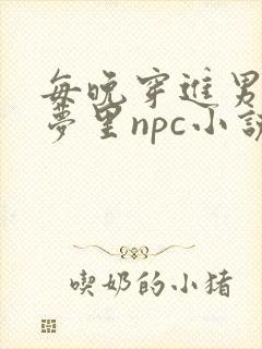 每晚穿进男神的梦里npc小说