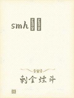 smhС˵