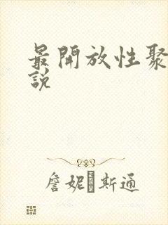 最开放性聚会小说