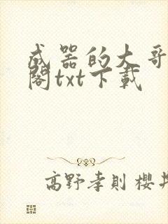 成器的大哥笔趣阁txt下载