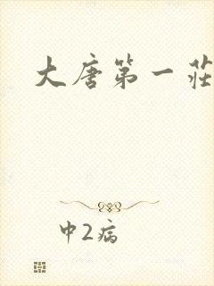 大唐第一庄