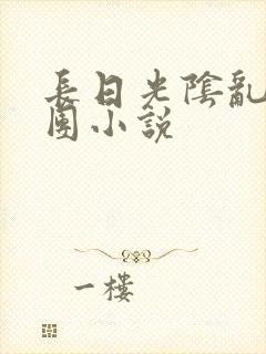 长日光阴乱作一团小说