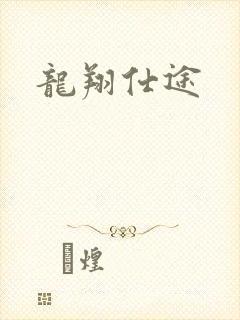 龙翔仕途
