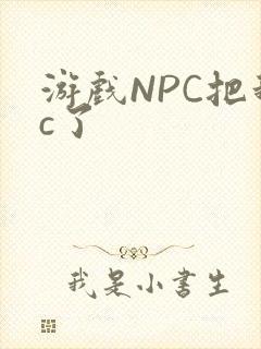 游戏NPC把我c了