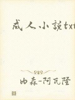 成人小说txt封面