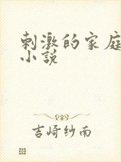 刺激的家庭乱仑小说封面