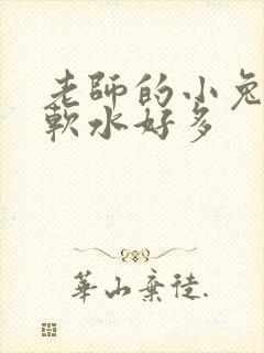 老师的小兔子好软水好多