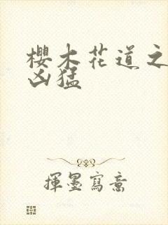 樱木花道之重生凶猛