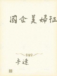 国企美妇征途