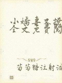 小娇妻又撩又甜全文免费阅读封面