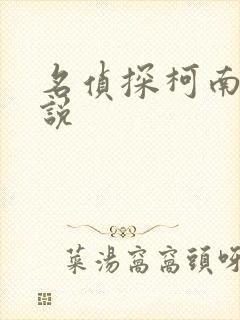 名侦探柯南h小说