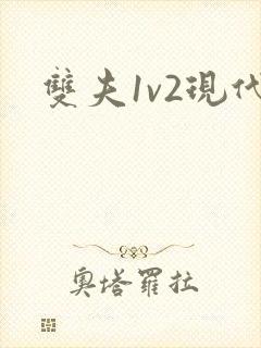 双夫1v2现代