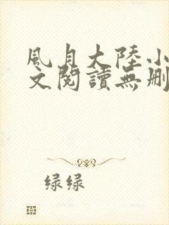 风月大陆小说全文阅读无删减