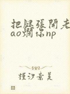 把腿张开老子cao烂你np