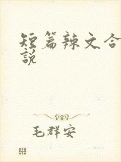短篇辣文合集小说