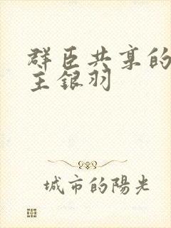 群臣共享的小公主银羽封面