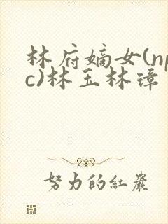 林府嫡女(npc)林玉林璋